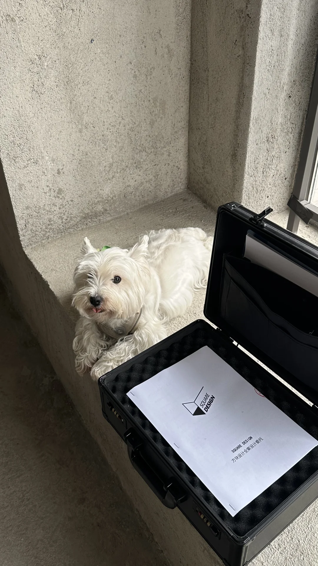 周五好｜设计工作日记