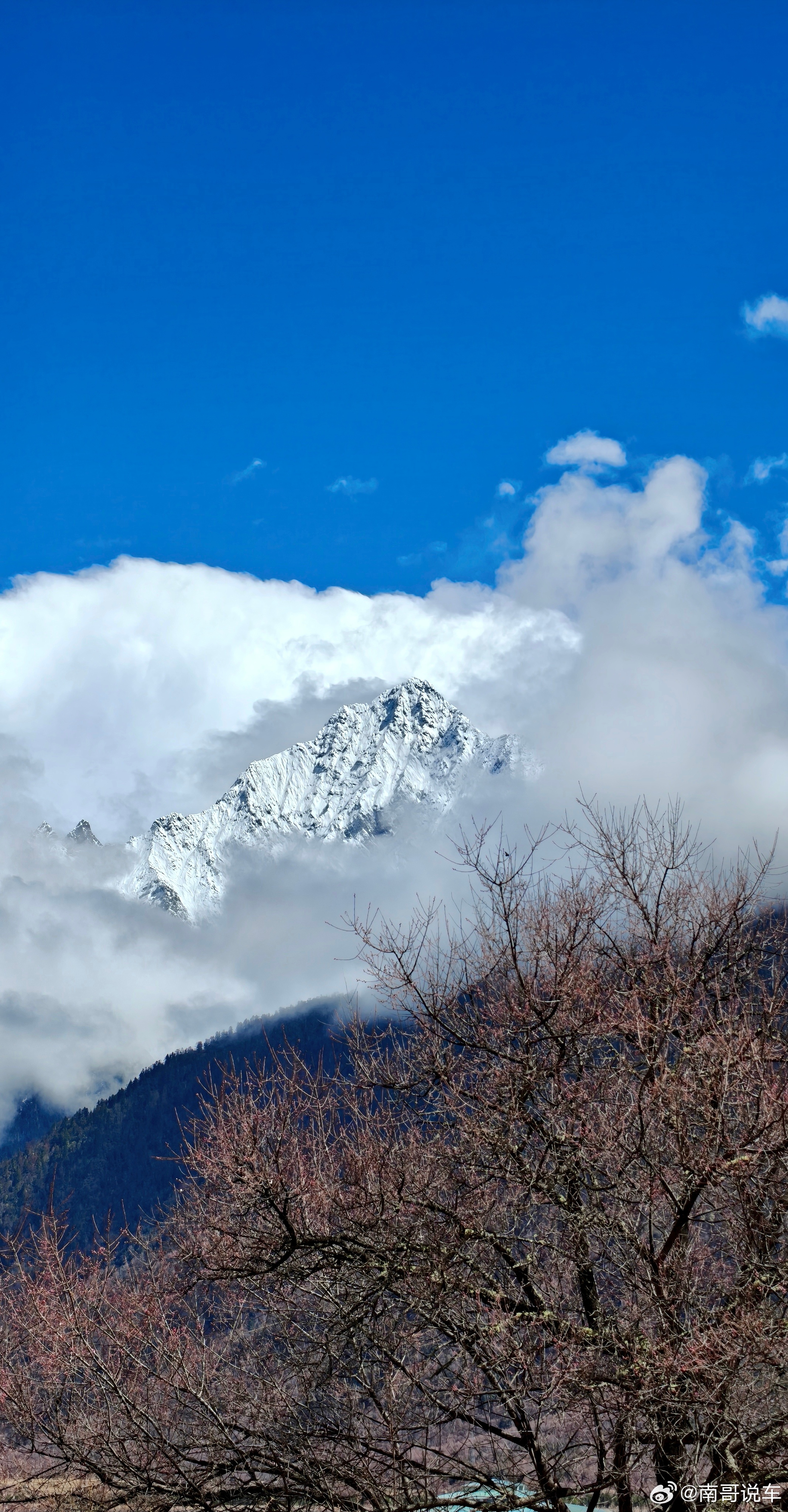 不纠结了还是白色吧 