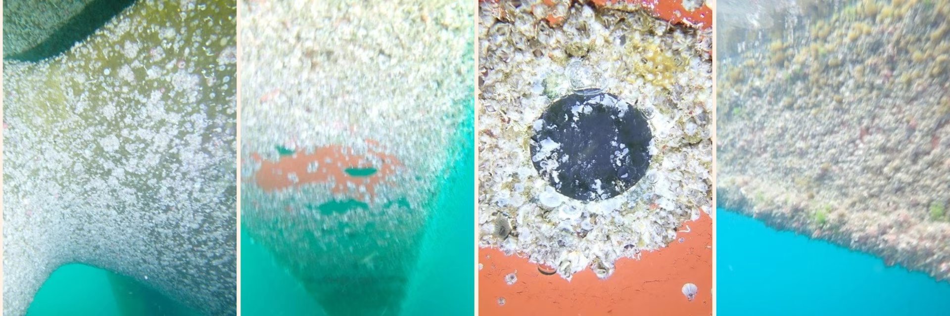 飞扬军事 霍尔木兹海峡封锁，催生了一批海上钉子户：至少800艘商船被困波斯湾，约