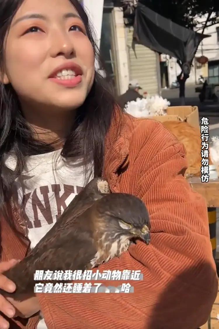 人，鸟和蔼相处，天地相互包容，爱在无声无息中漫延，柴气与祥云缭绕