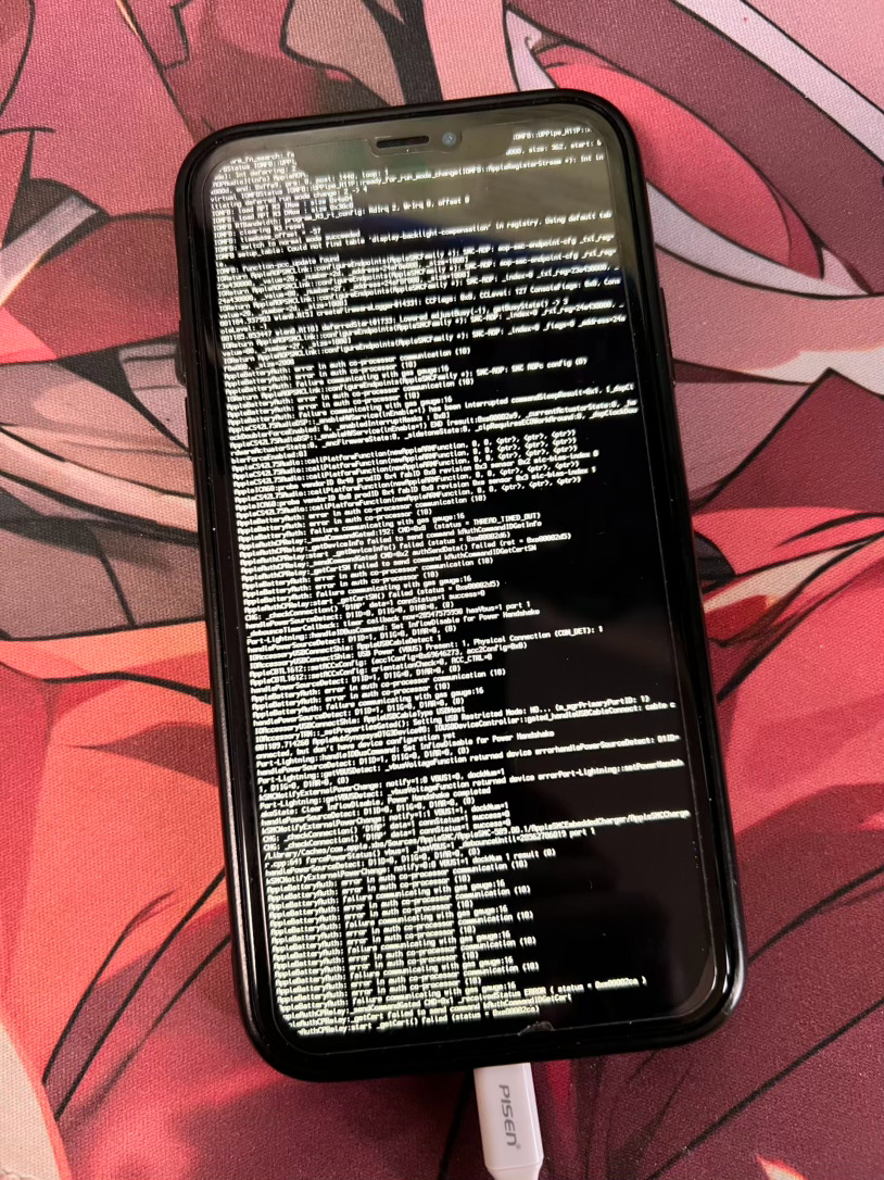 苹果iPhone XR SSH Ramdsik启动成功 