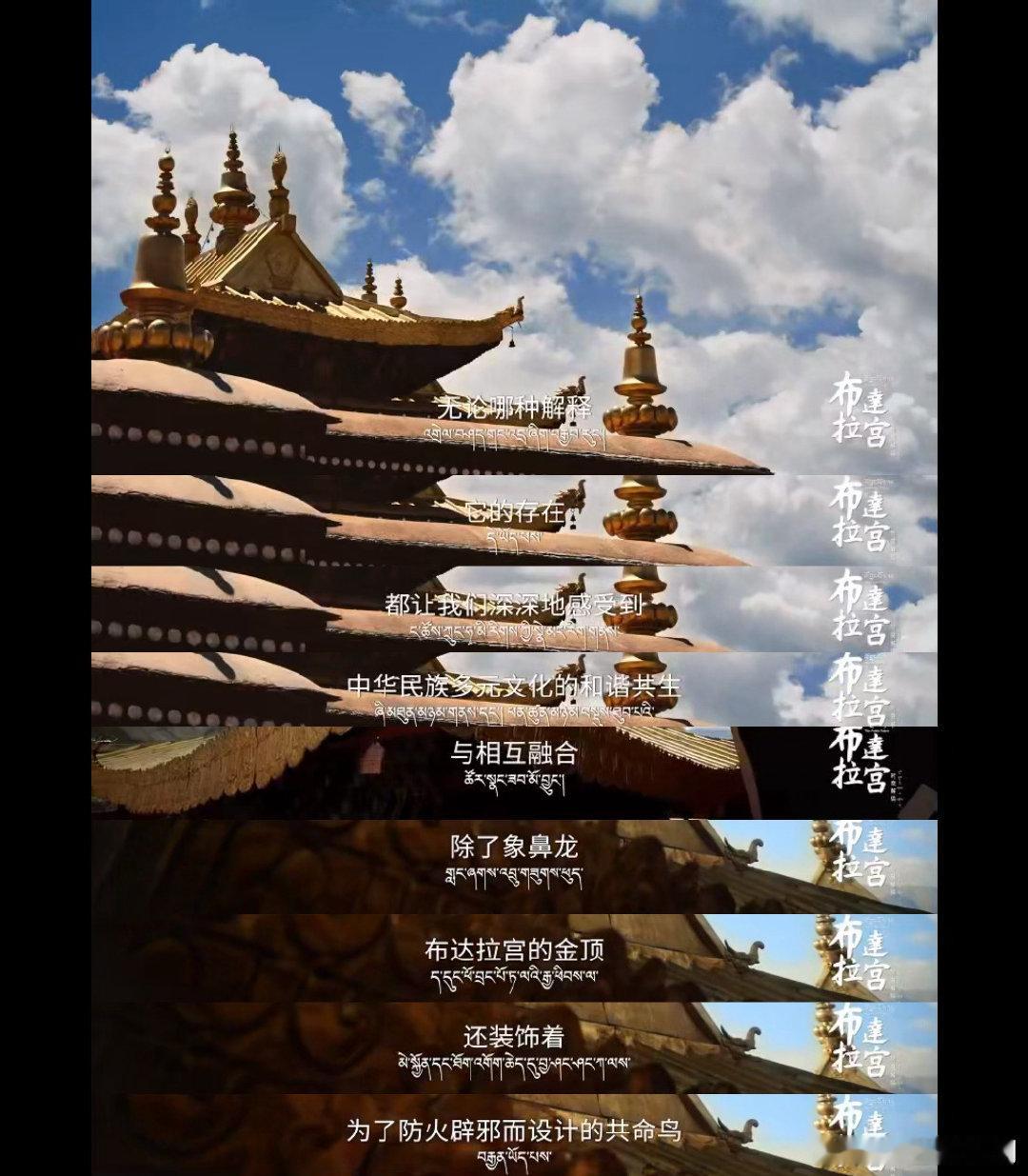 罗云熙文化输出从从容容游刃有余 救命！罗云熙的配音让纪录片质感翻倍！温润有力量的