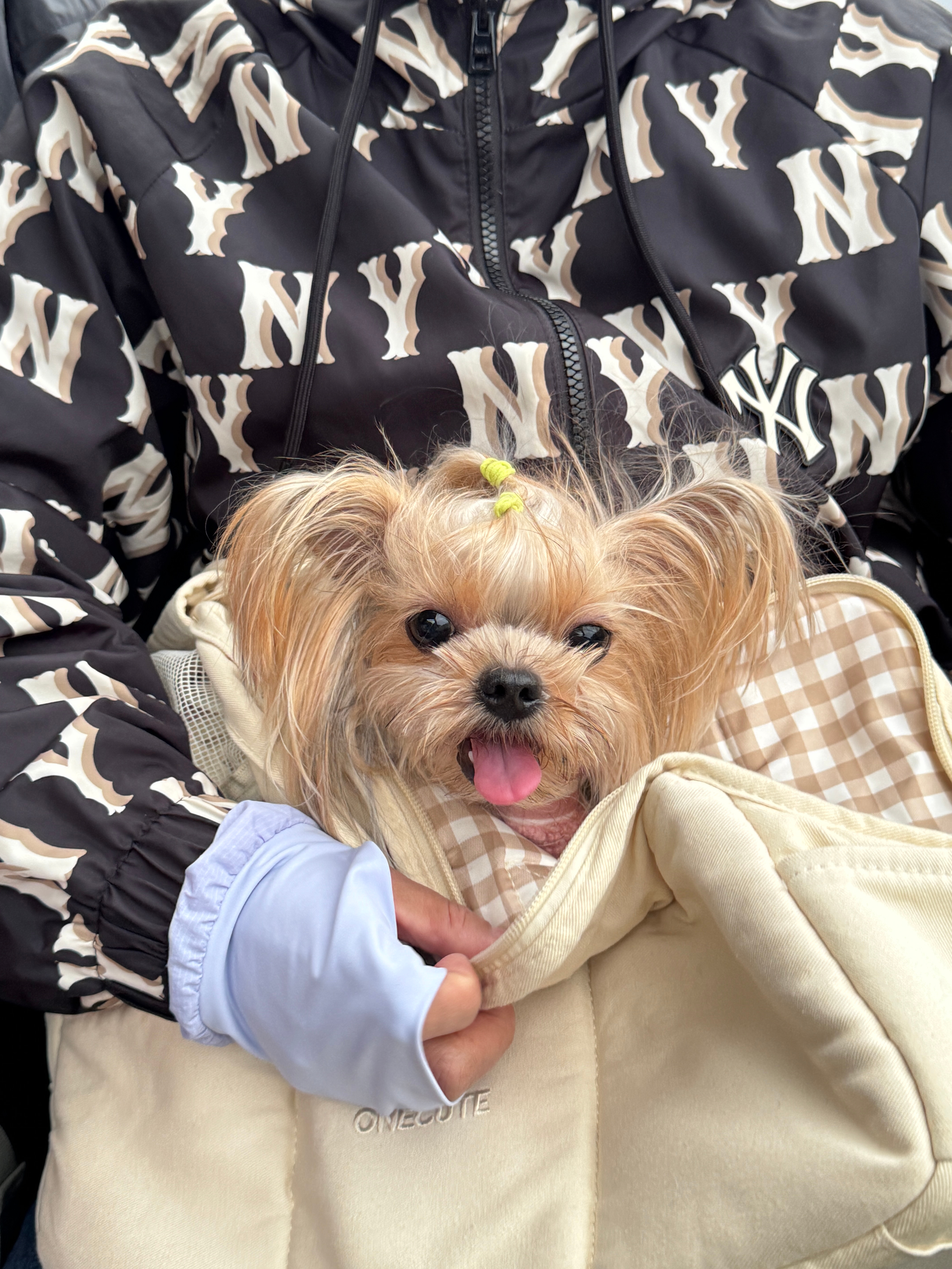 幸福具象化 一家人随心出行 走哪玩哪走哪吃哪翻山⛰️悦已 ​​​