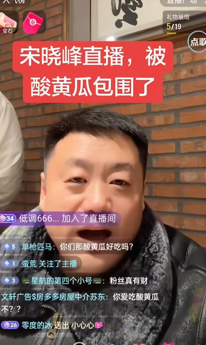 直播间突然被刷屏了。
不是礼物，是满屏的“酸黄瓜”。
宋晓峰的脸在镜头前僵住。