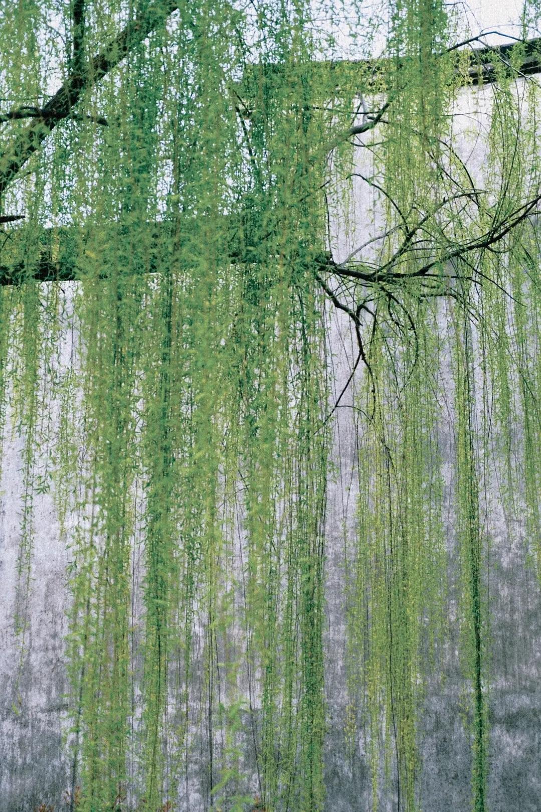 爷爷告诉我，这才是圆滑的人情世故：

1、和生人一起选择吹牛最好
2、和熟人一起