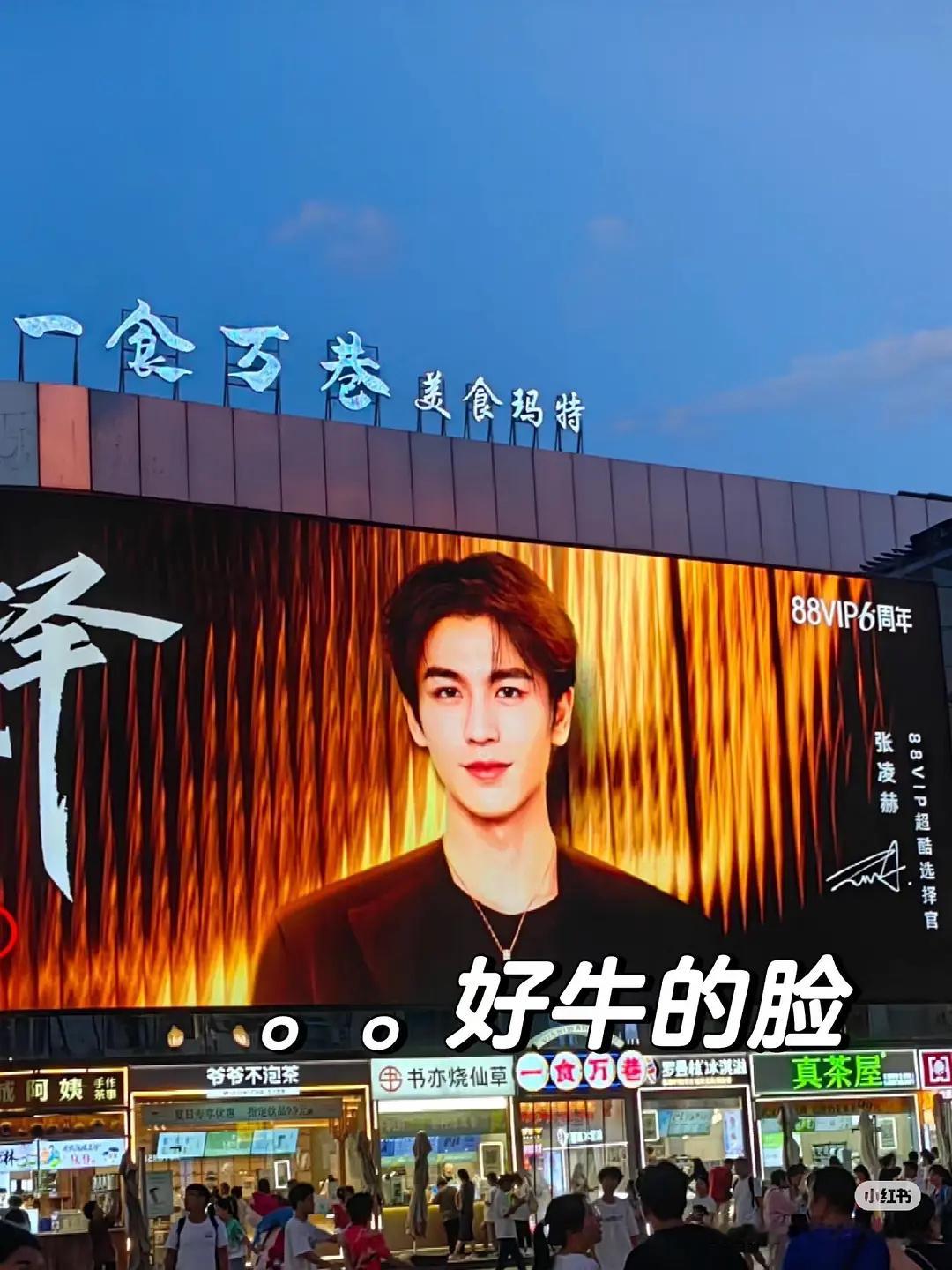 优酷给张凌赫线下地广排面🈶我牛这张脸长的很尊重观众 是来吃娱乐圈这碗饭的#优酷