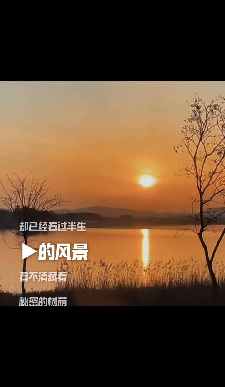 眼里有光。
作词：蓝光。
海岸夜行3416。
我知道这双眼睛还算年轻，却已经看过