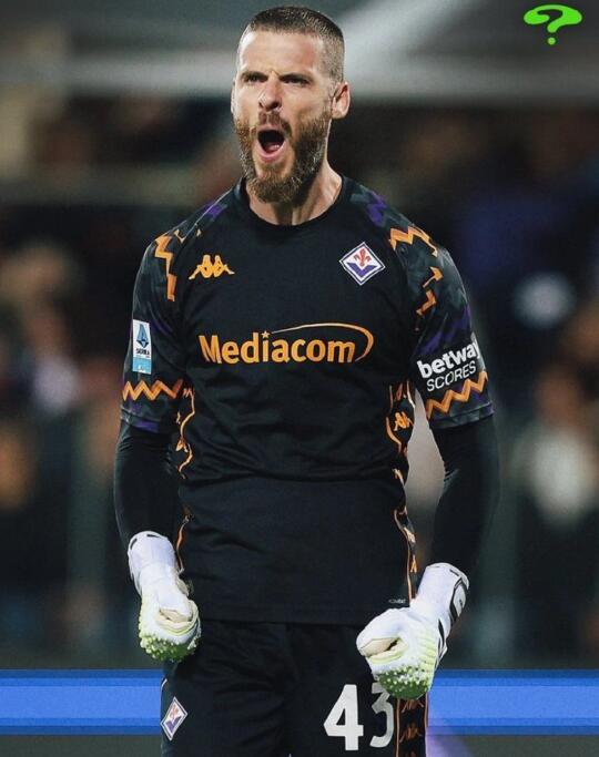 奥纳纳？德赫亚被轰19脚9扑救4拦截2解围