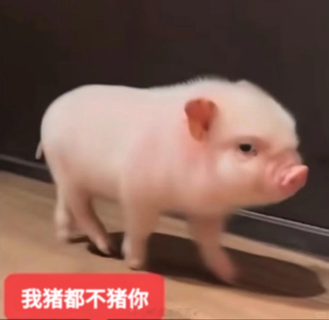 内娱年度最差编剧 如果让你提名今年的最差编剧，你会想到？ 