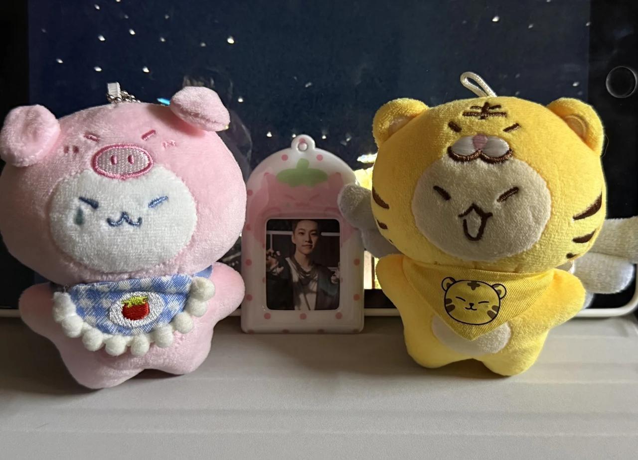 谁懂啊！被我的小虎崽和小猪崽萌到了🐯
SEVENTEEN权顺荣 hoshi 权