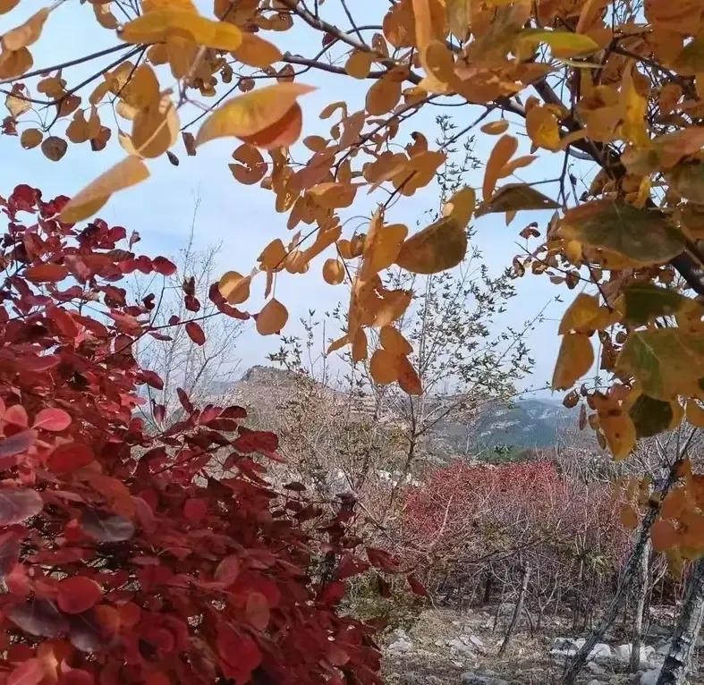 话少的人，往往是两个极端，要么真的简单，要么深不可测。