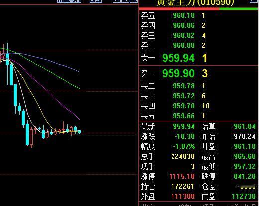 周二，
国内黄金期货
大幅回落，
主力合约收盘于959.94元。

不过大家从一