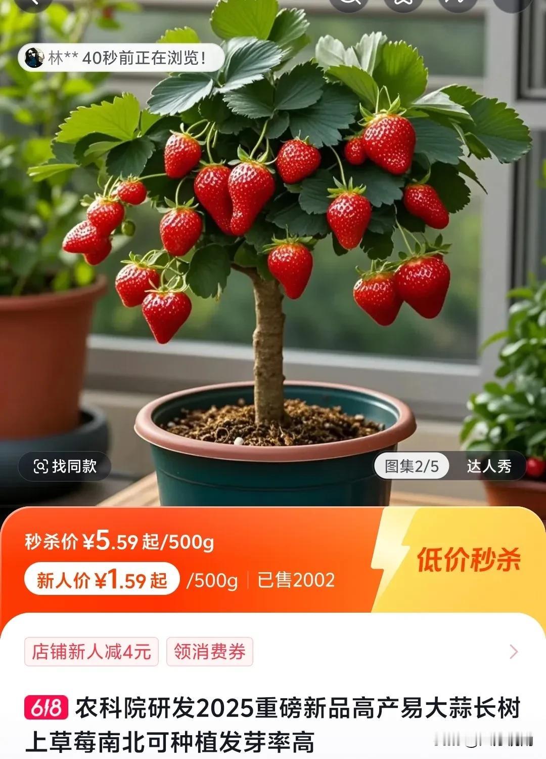 近日，偶然看到一则