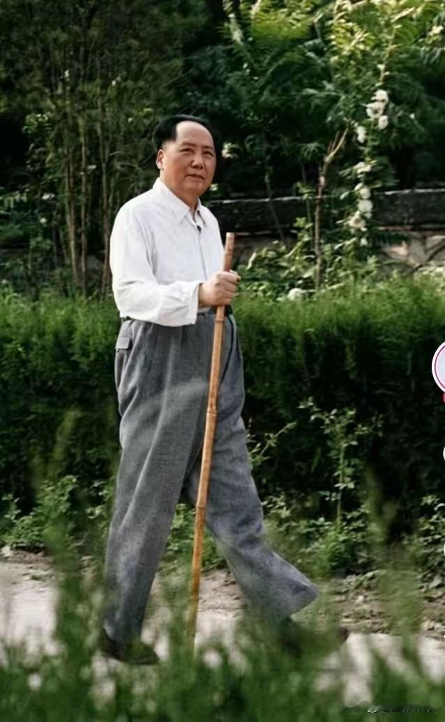 📸 照片解读
 
这张照片是1961年毛泽东同志在江西庐山的经典影像（由摄影师