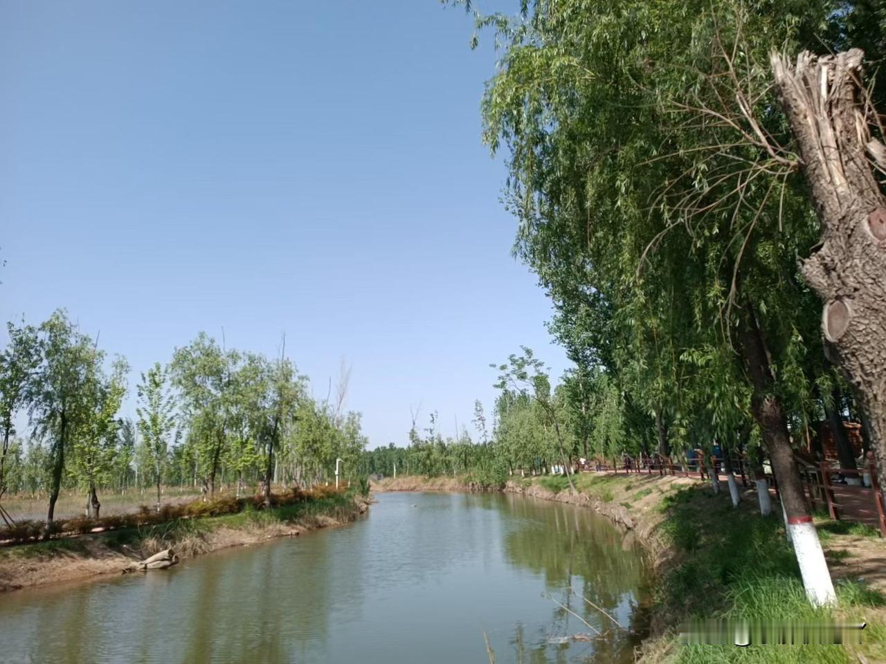 表面不与任何人翻脸，是格局；
内心敢和任何人再见，是智慧。
别人耍心机演戏，我冷