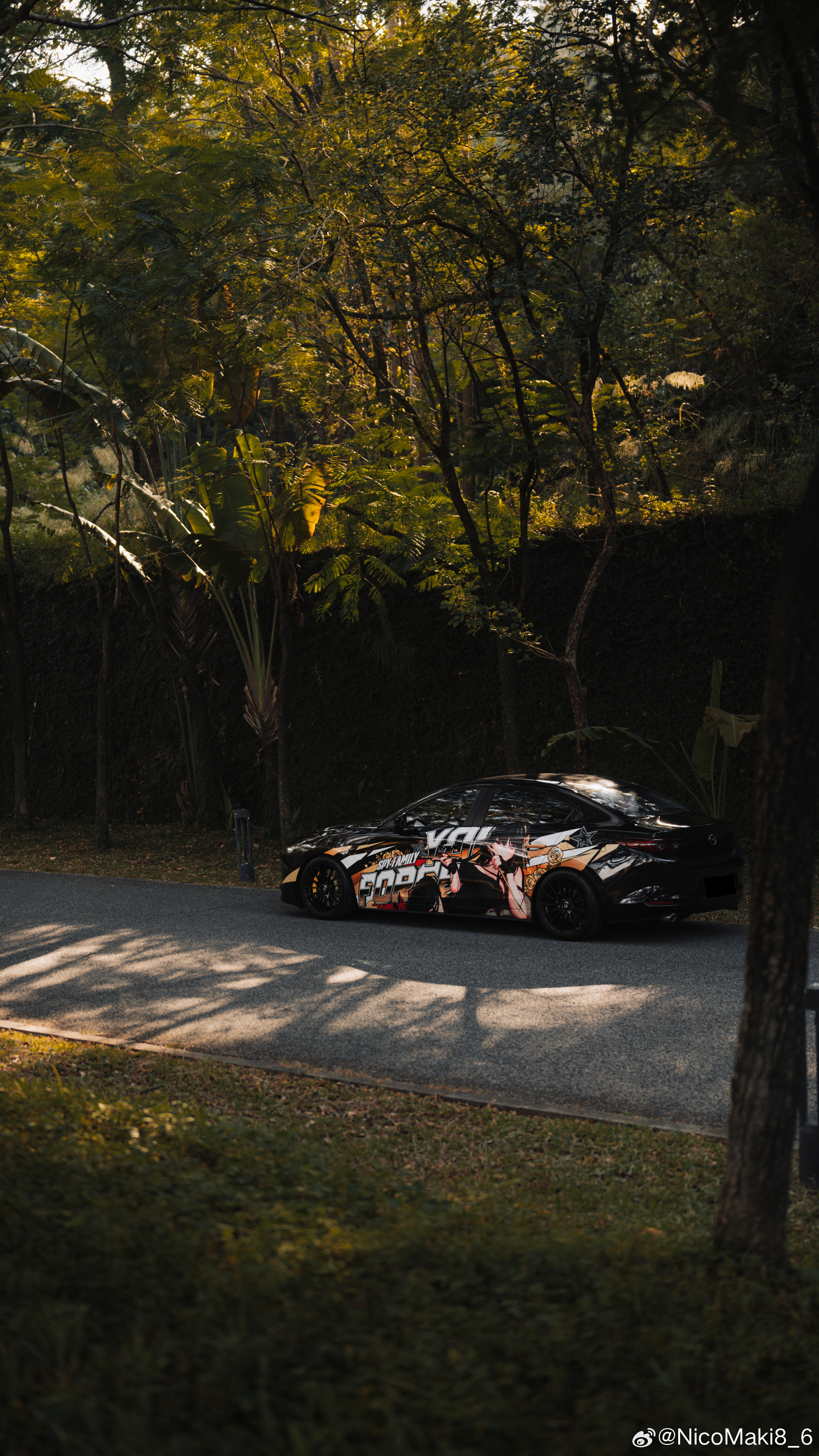 High contrast. 佛山