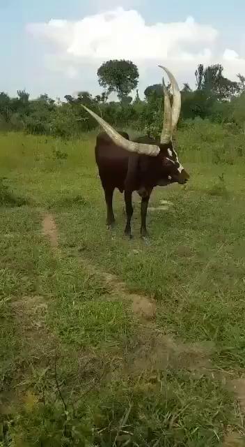 你要看你还能玩什么视频吗？可以请联系我。