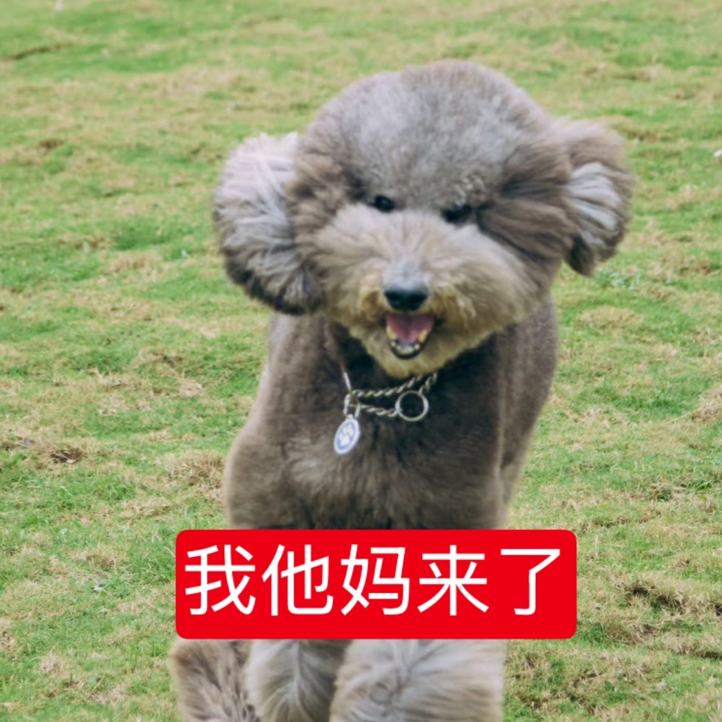 大家消消气 皮皮来啦 