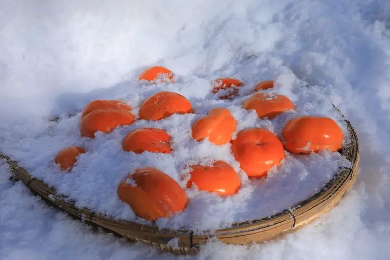 今年冬天的不同 今年冬天确实跟往年不太一样。就拿东北来说，有天温度到了 -15℃