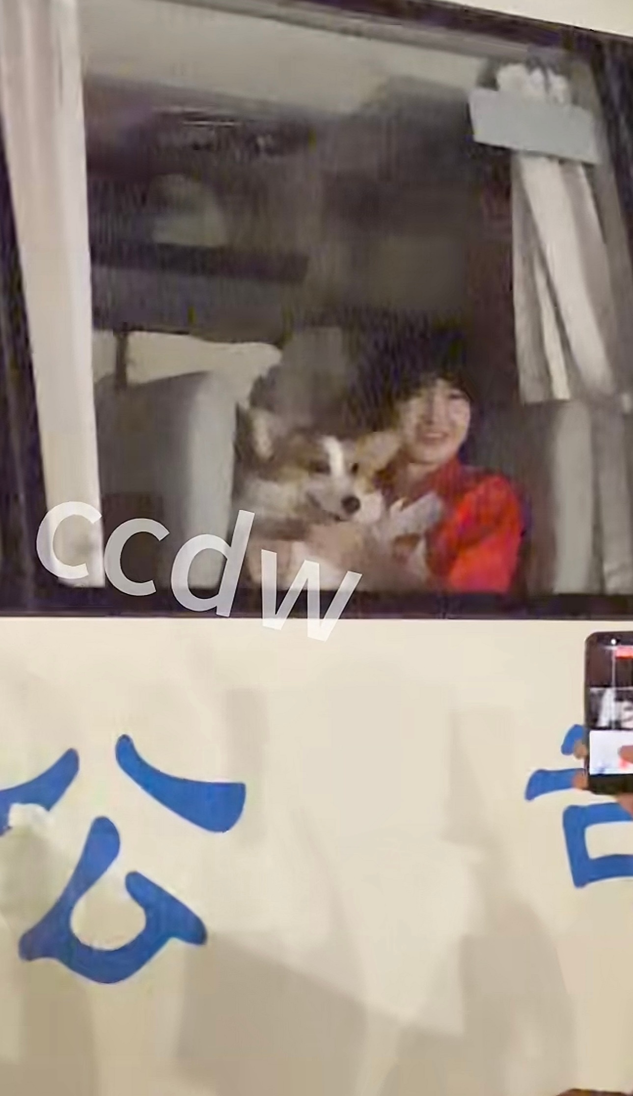 🫘上刷到的这么糊还这么萌好久没看见西瓜了哈哈哈我们诺诺就这么逗粉丝开心 