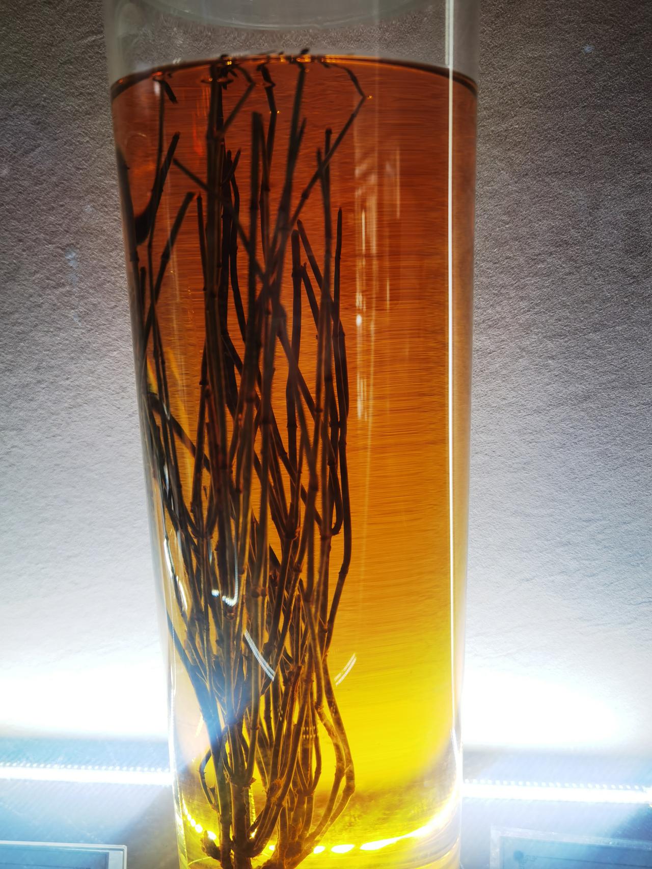如何把大脑衰老的速度拽慢
50岁一过，不知怎么总是丢三落四的，这才反应过来是大脑