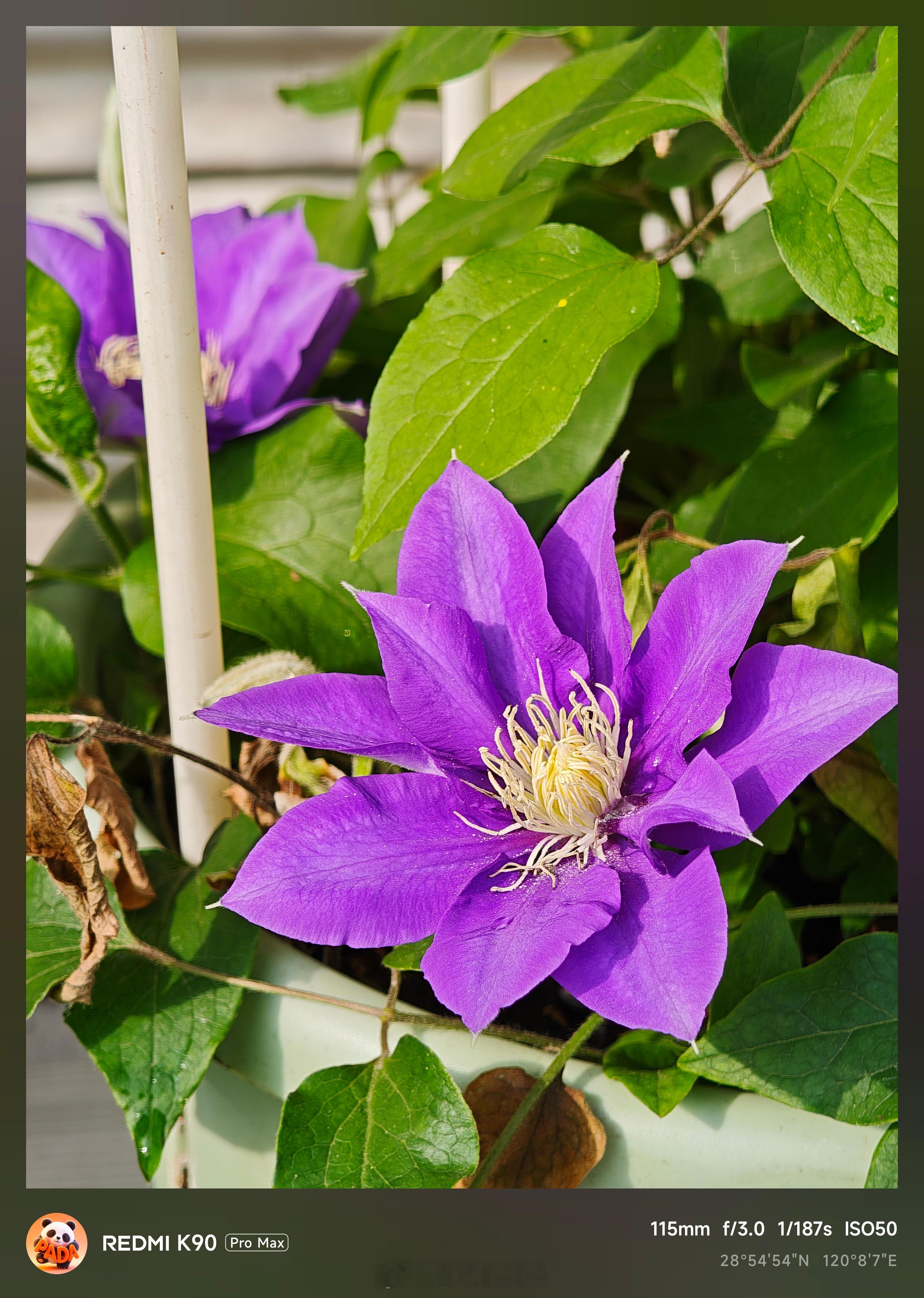 这个点出了一会会太阳！太难得了~来看看我用Redmi K90 Pro Max拍的