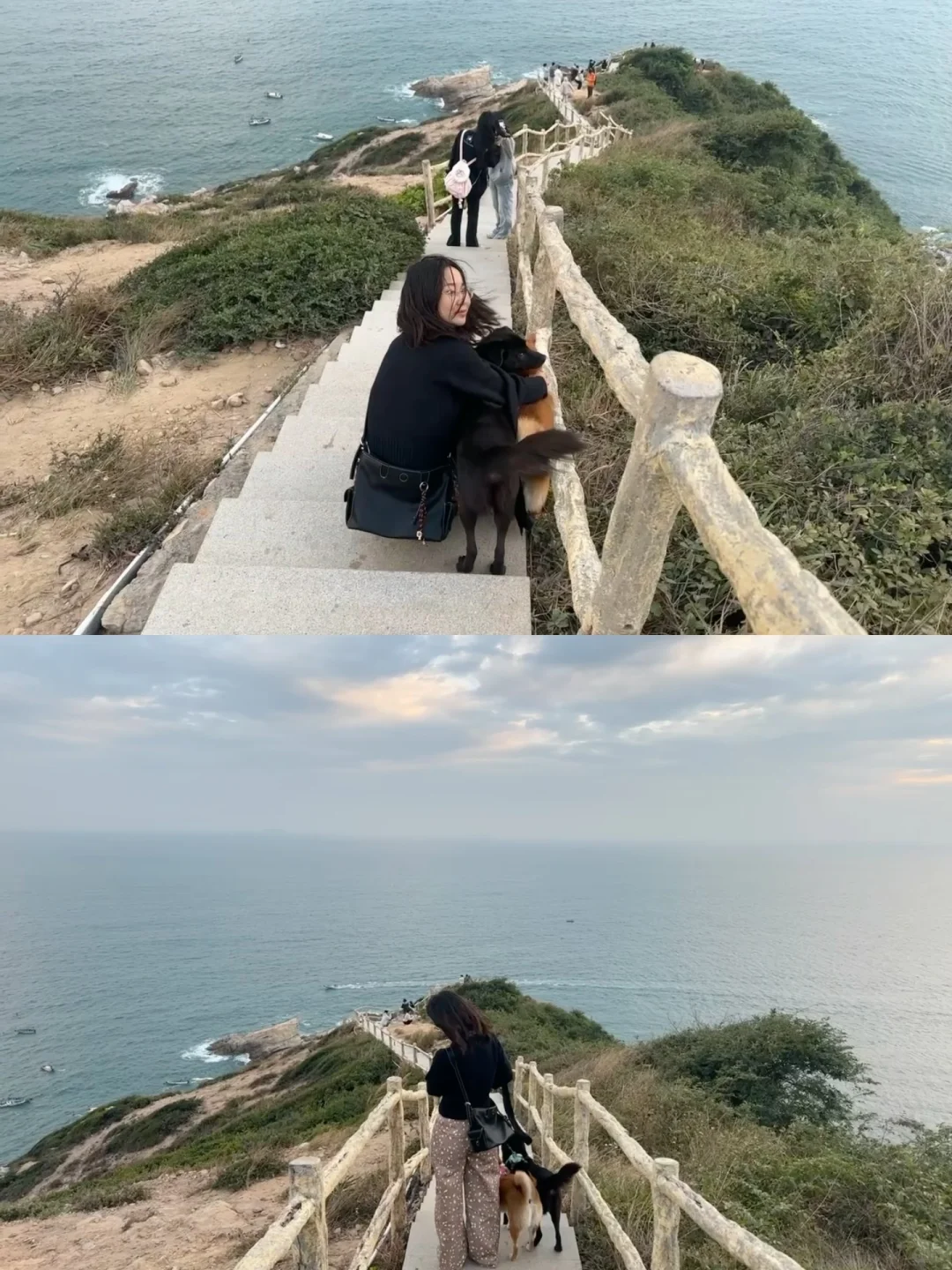 深圳天文台去了🌊但不会再带小狗去了