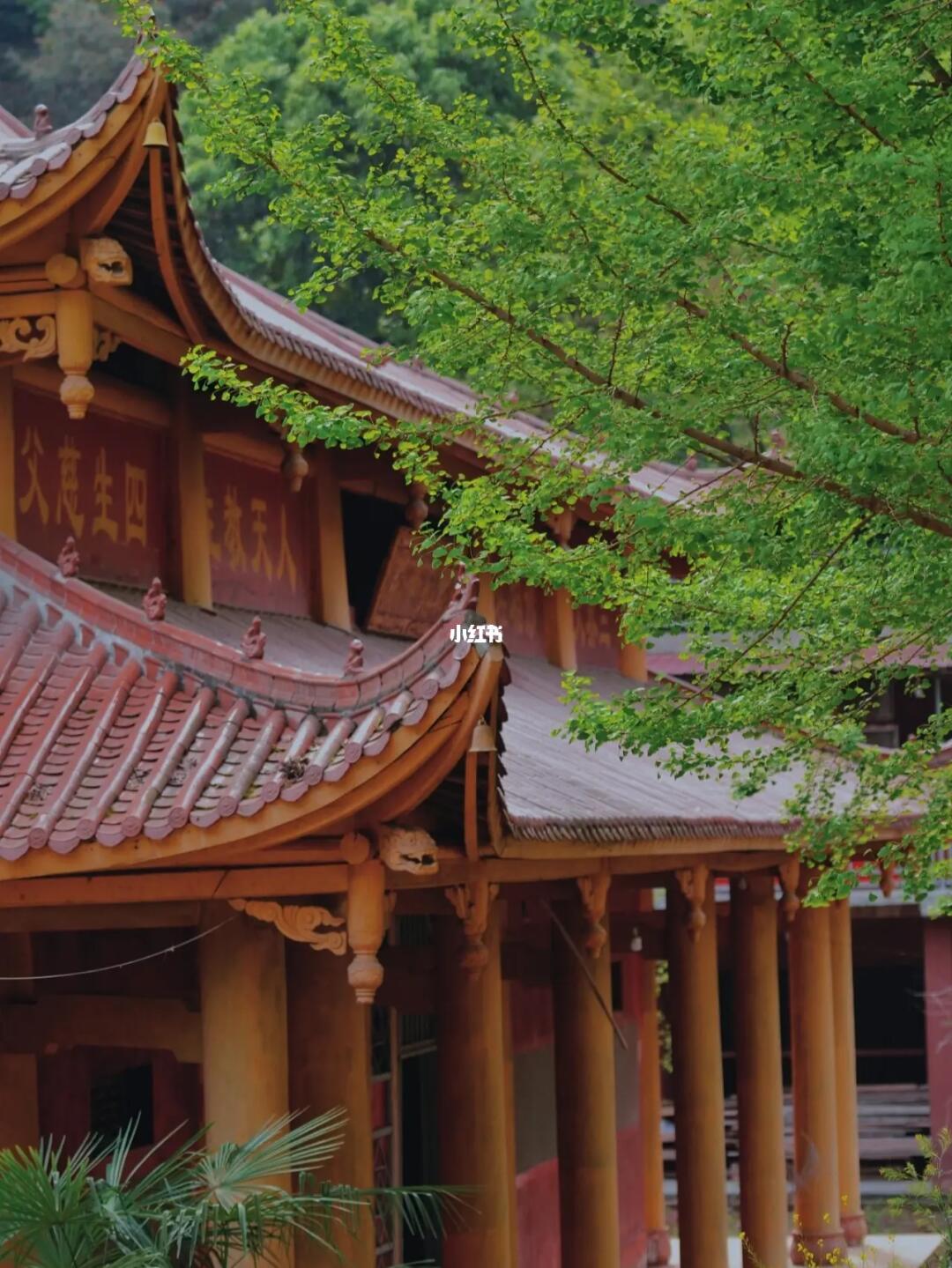 成都徒步象耳寺 | 重走李白儿时秘境