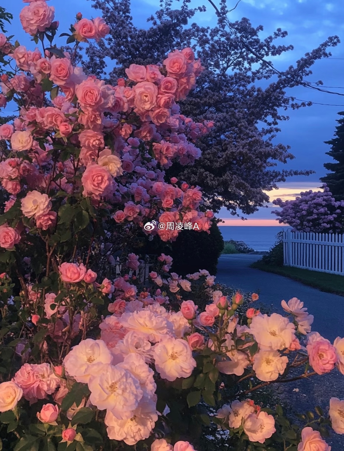 每日一善，愿生活温暖，内心丰盈每日一善阳光信用