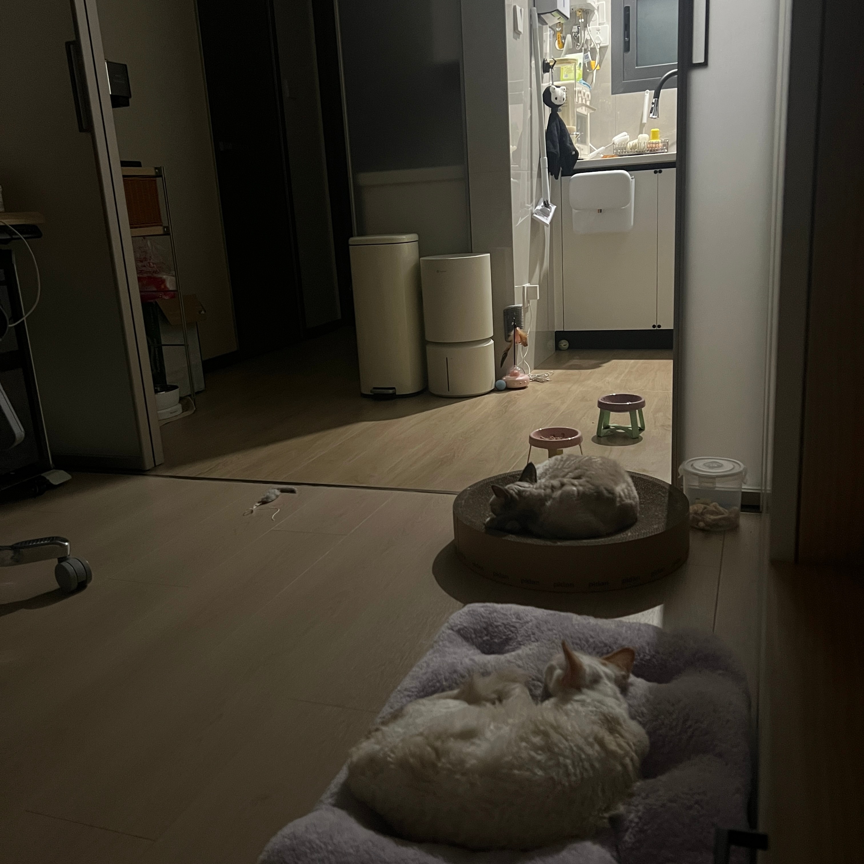 💤 ​​​