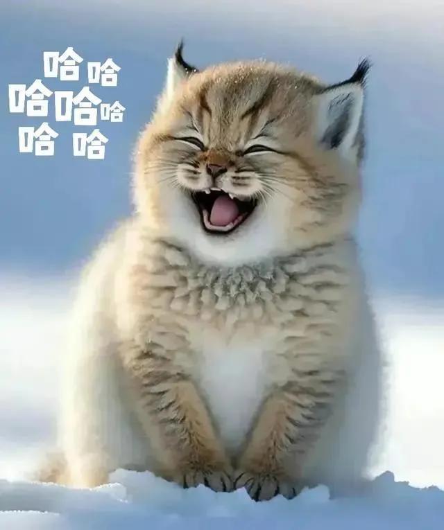 [捂脸]累，辛苦啦！，坚持就是胜利！