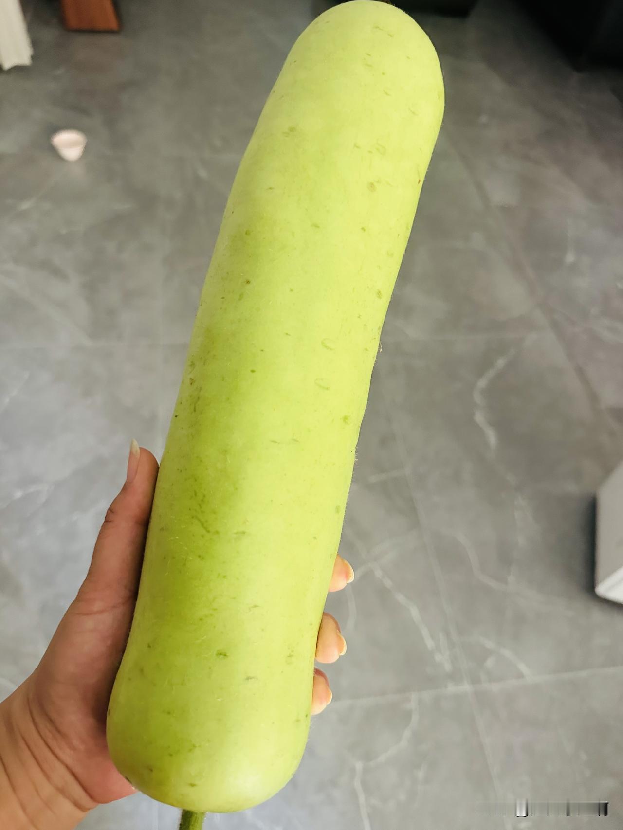 我从拼多多上面买的小葫芦苗。
本来想着结出来葫芦让老爷们儿盘着玩的，可以活动他的