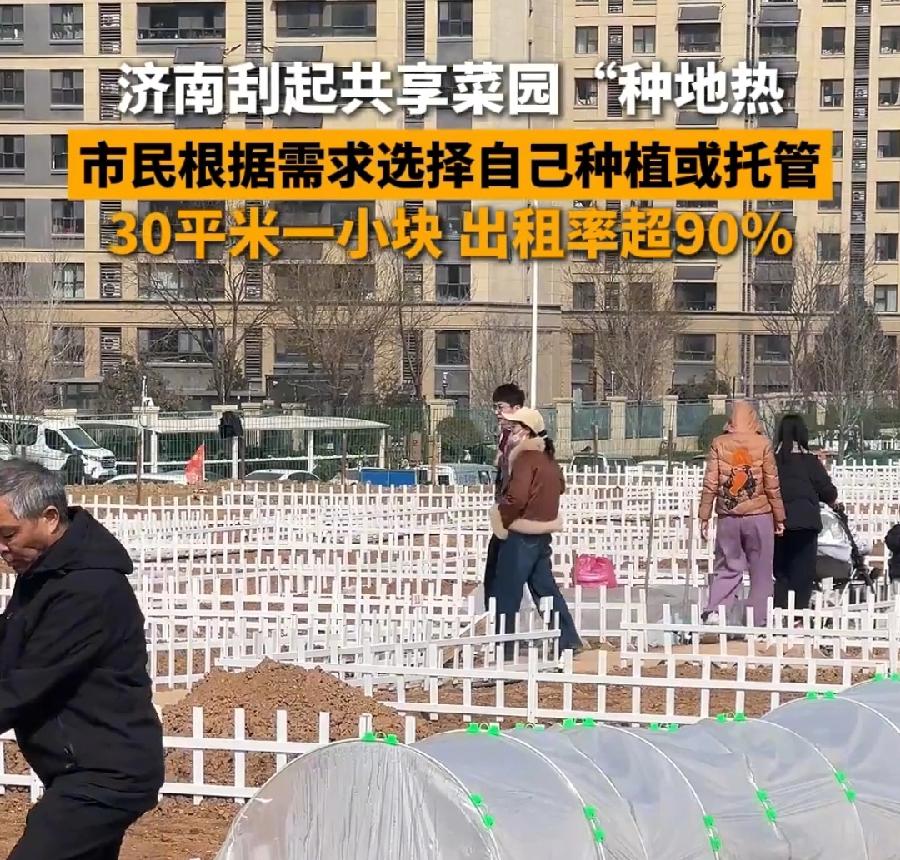 济南共享菜园，老板赚疯了！一块菜园30平方，一亩地666平方、20块，顾客种菜3