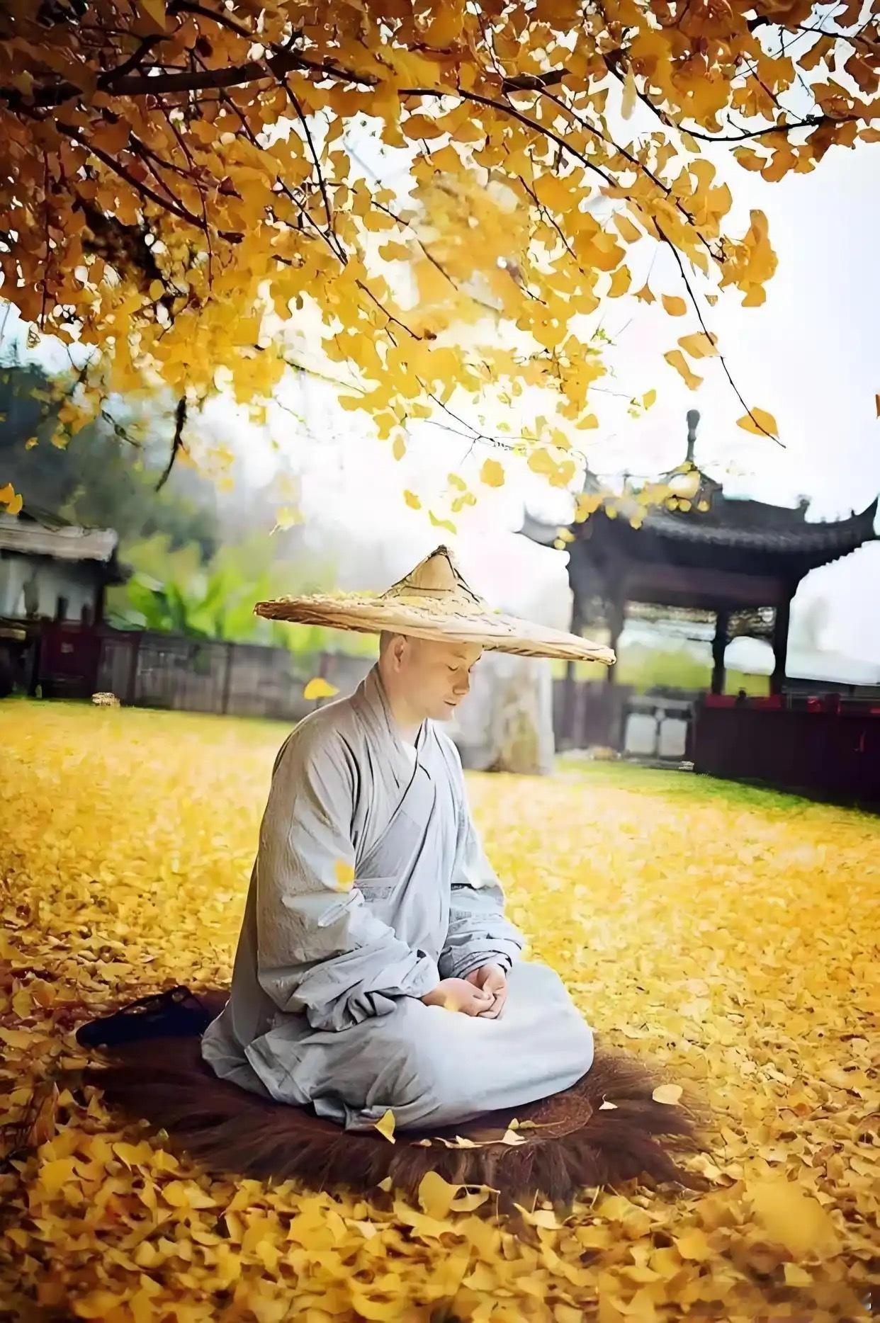 披甲入山终是客。赤诚相见方归家。 