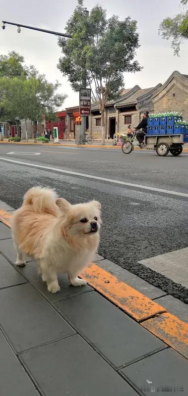 北京人为什么特别能说北京人的“能说”源于骨子里的皇城根儿文化。胡同里的近邻社交和