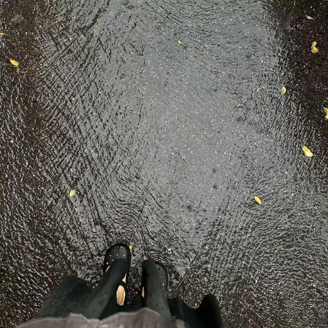 中午好！！！下雨🌧️我和可爱多的状态就是（图1）可爱多刚睡醒他晚上10点睡，睡