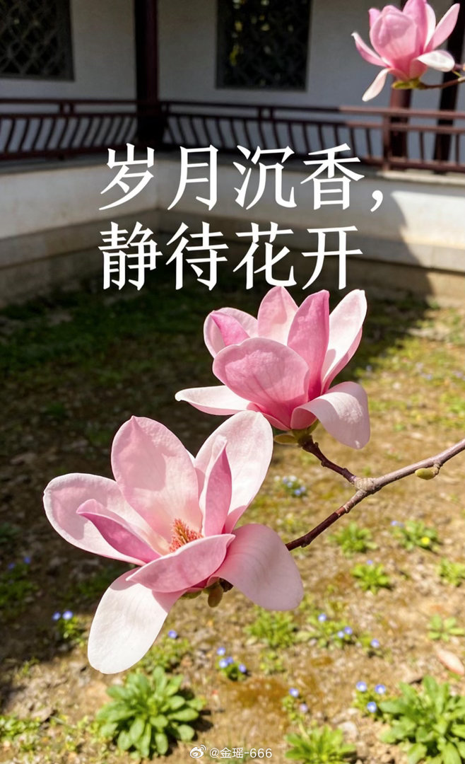 搭子们，早上好！股市本来就是起起落落、反复震荡的，行情磨底最磨心态，但越是这种时