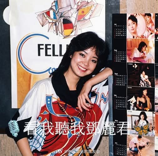 1983年1月，为了倾力宣传全新概念专辑《淡淡幽情》，邓丽君在香港展开了一系列密
