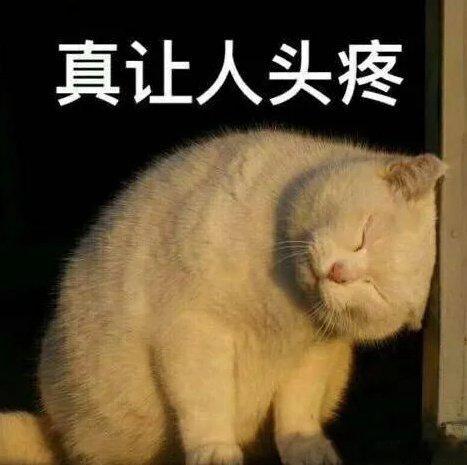 12岁男孩高速狂飙被查 谎称有矮小症 哈哈哈，我直呼好家伙，真的是好家伙，高速飙