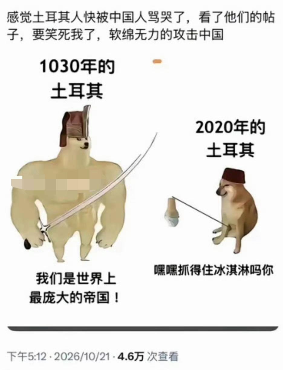 哈哈哈哈哈，哎我去，笑喷我了！最近外网全世界网友都在围观中土网友互怼！

该说不
