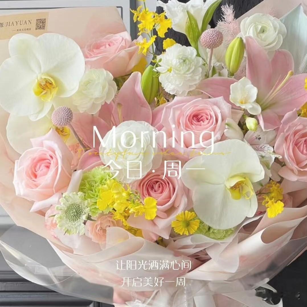 🌤·星期❶🔆✐ᴹᴼᴿᴺᴵᴺᴳ❉🪴
🌻世间所有美好🌸
都值得花时间慢慢来