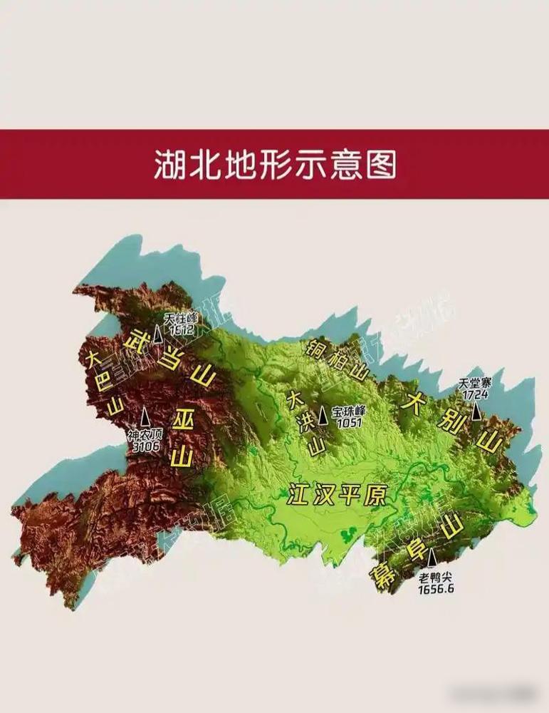 湖北人口不多，但湖北顶尖拔尖人才的人口占比稳居全国第一梯队，在竞赛学霸、两院院士