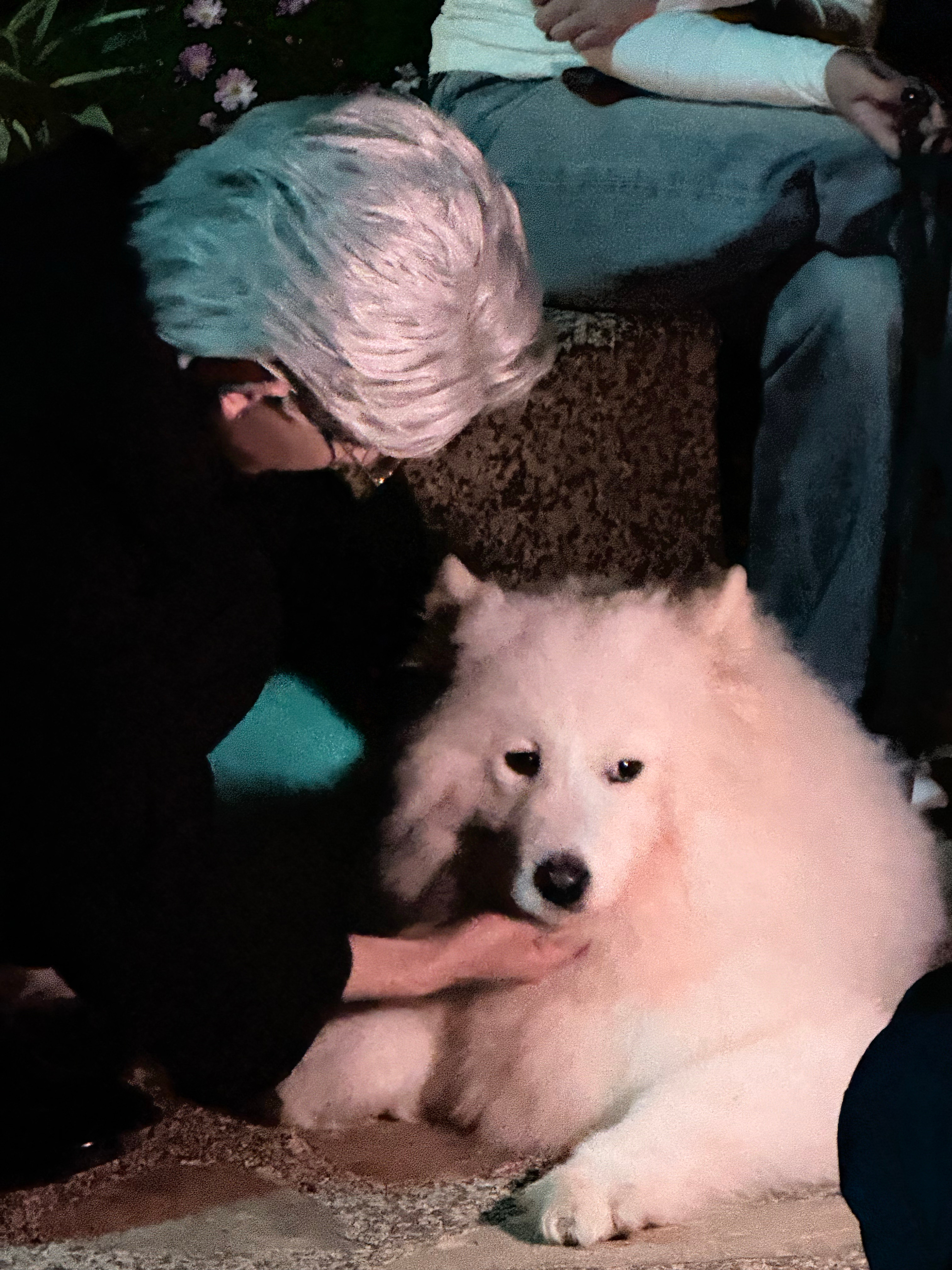 终于可以写一写《志明与春娇》的故事了。志明与春娇是我真正意义上跟的第一个短剧项目