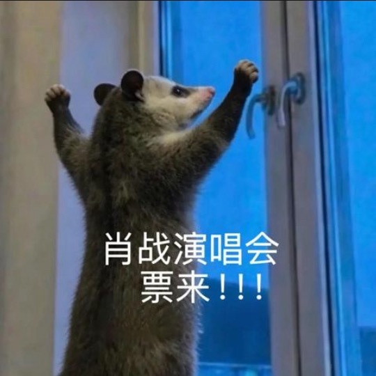 肖战个人巡回演唱会好紧张啊！摩拳擦掌！票来！票来！ ​​​