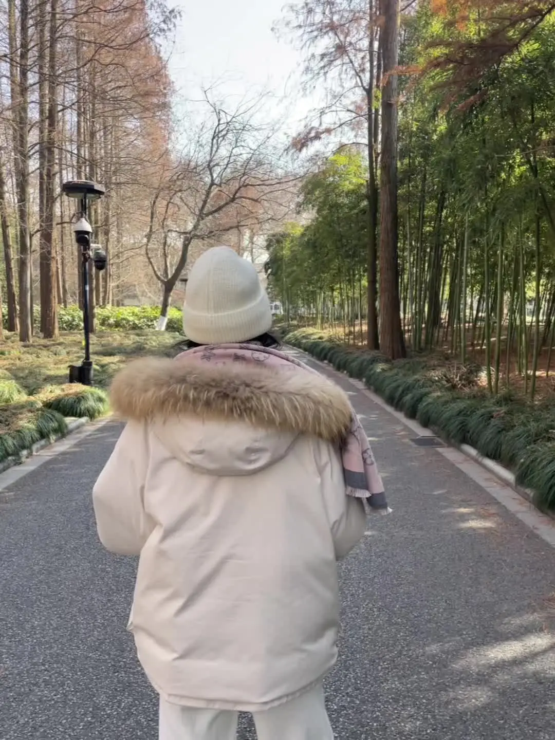 步步向春山