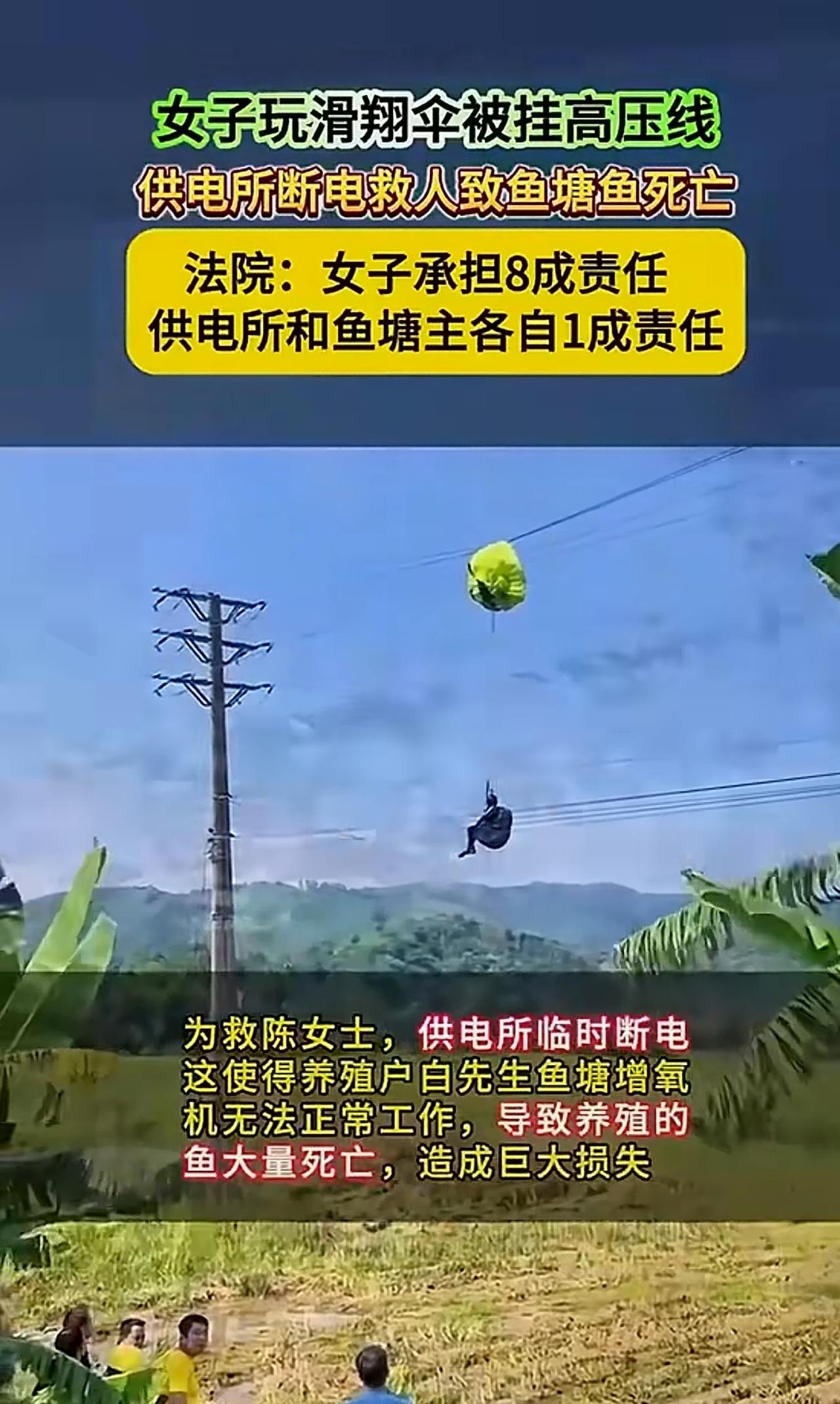 这个案子判的不对呀，鱼塘主人和供电部门不该承担责任呀，如果滑翔伞是公司的服务项目