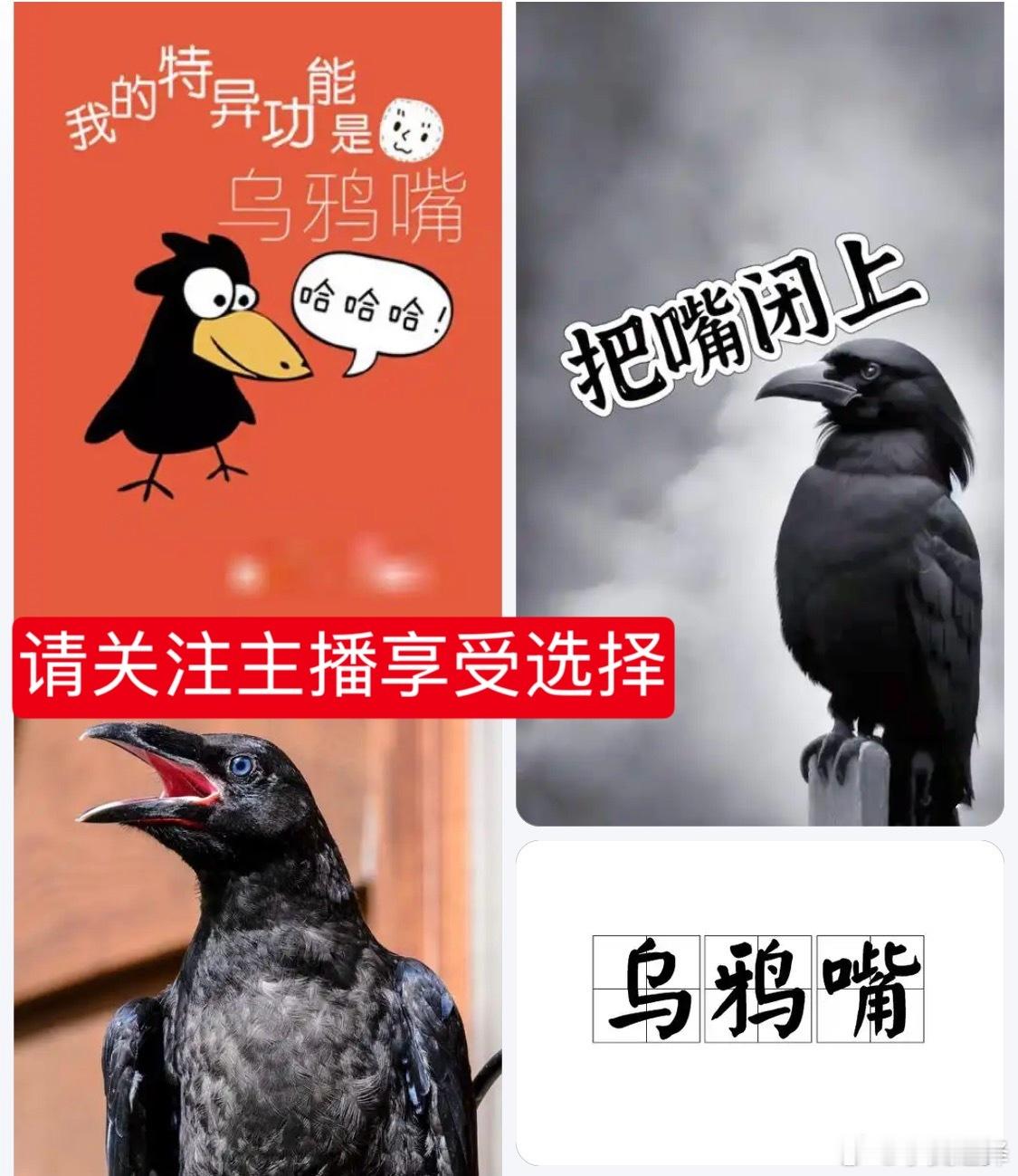 辛辛那提站 一天播十个小时真的停不下来，自从开辟切播直播方式以后，赛事前面几天忙