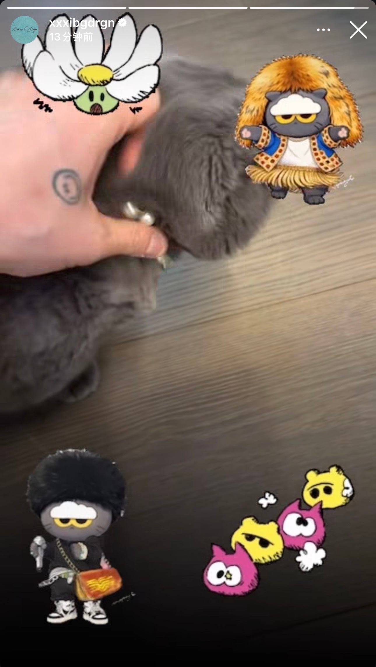 到家就开始撸猫🐱 