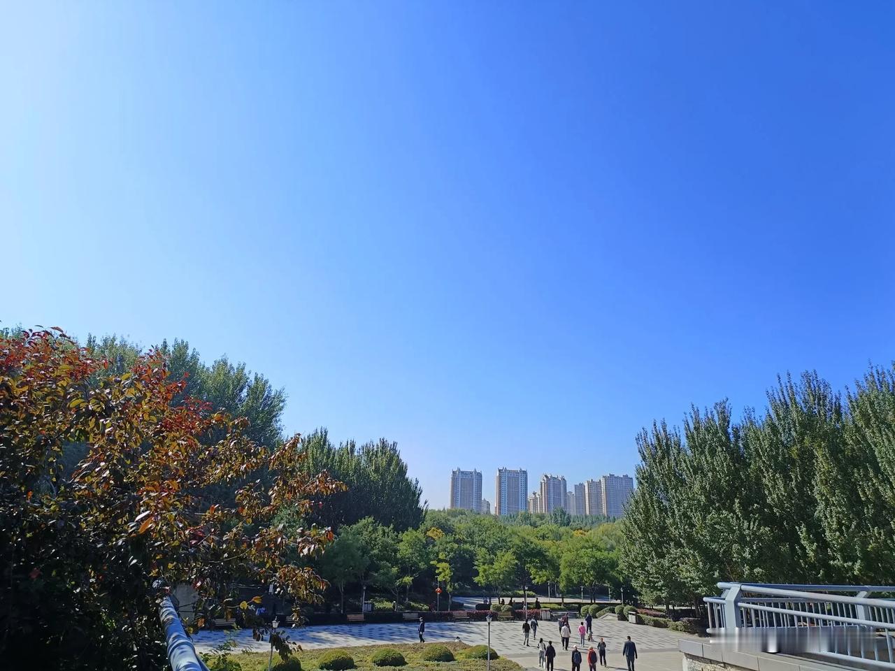 耳边传来一段对话：
现在有闲有钱再有健康，
那就是人生赢家。
现在的老年人最有钱
