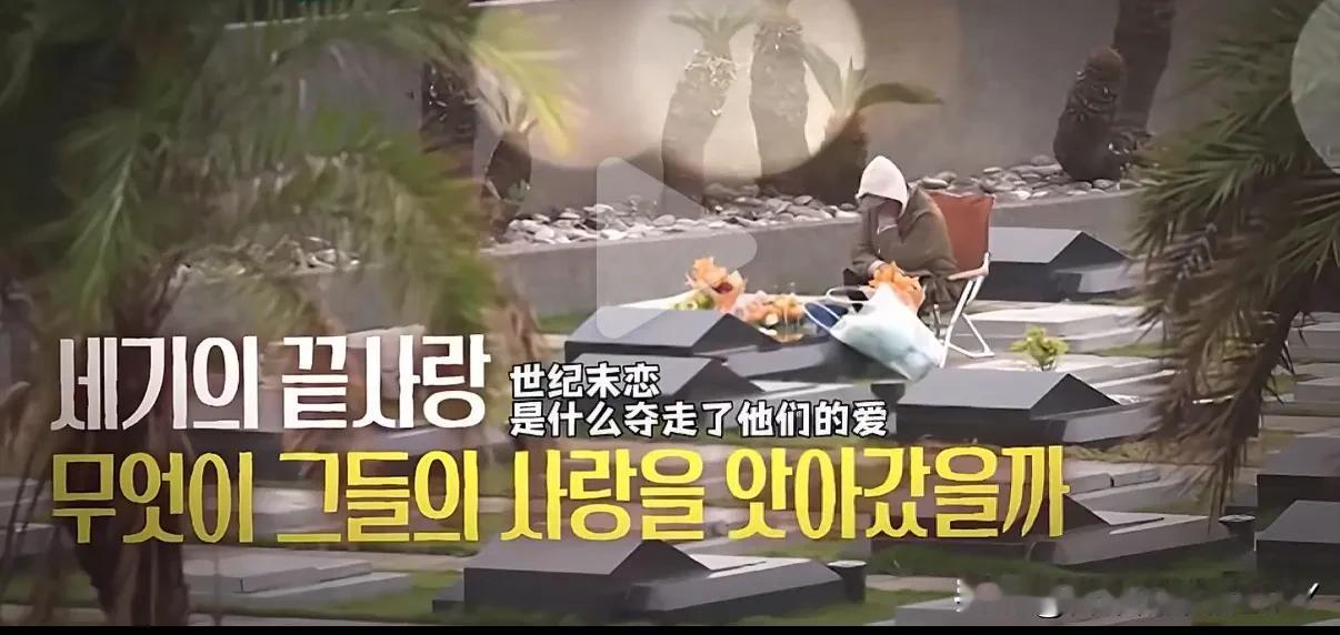 实在太气愤了！原来所谓的深情一切都是演的，一切都是为了赚钱！
 

大S逝世一周